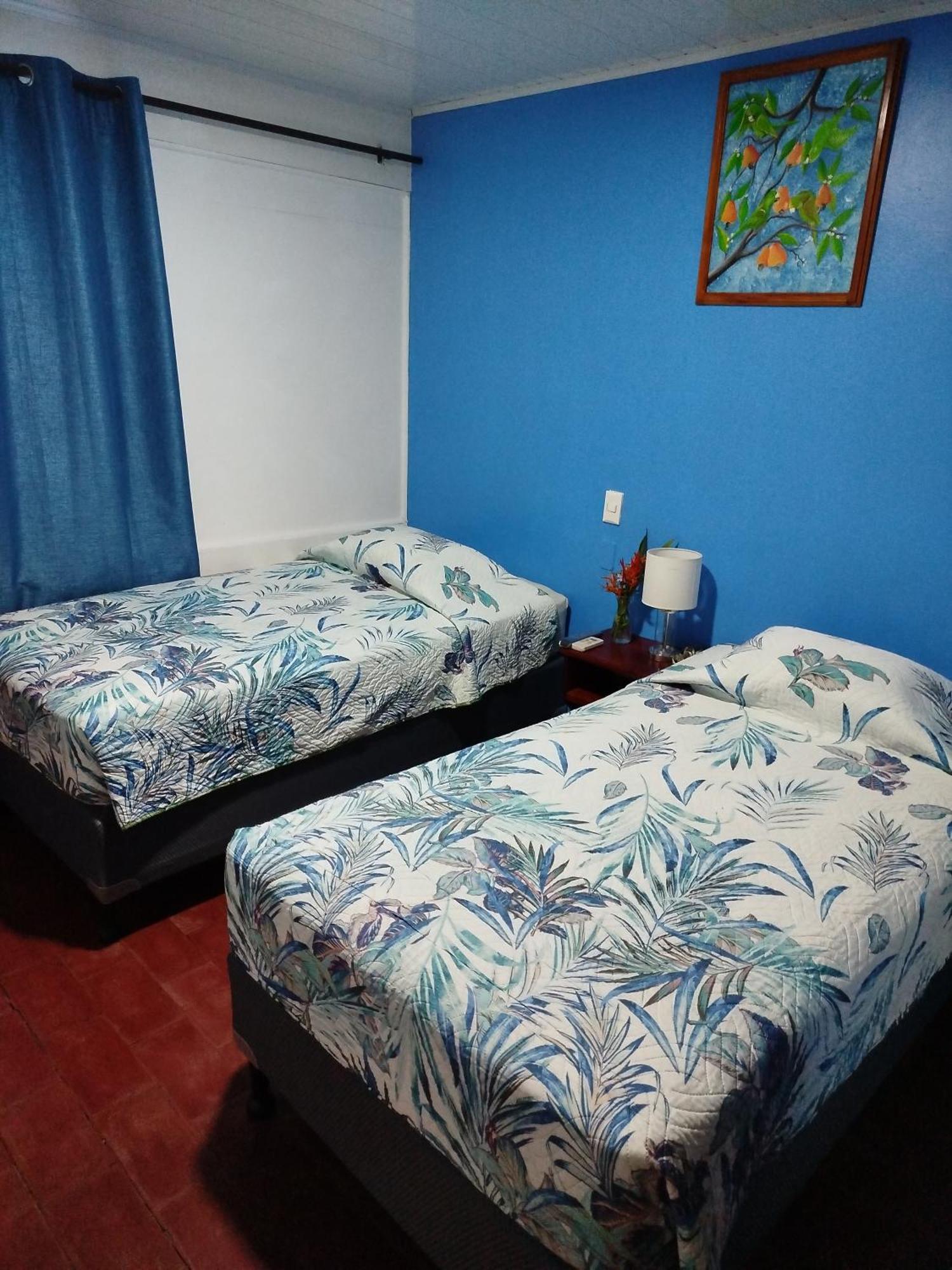 גולפיטו Hotel Pez Gallo מראה חיצוני תמונה